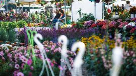 Ανθοέκθεση 2018 δεθ