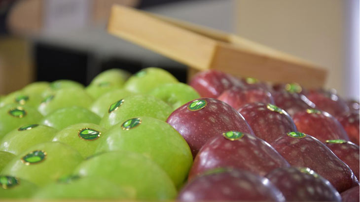 Το Διεθνές Εμπορικό Γεγονός Φρέσκων Φρούτων και Λαχανικών, η FRESKON στην ΔΕΘ