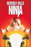 Νίντζα 900 Κυβικών (Beverly Hills Ninja)