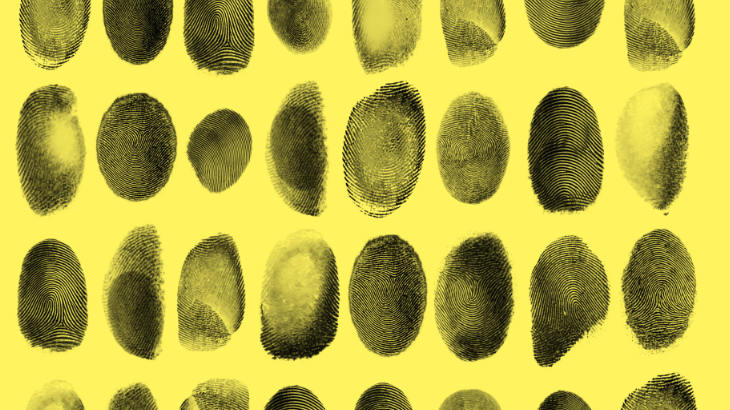 Φεστιβάλ Γαλλόφωνου Κινηματογράφου 2026