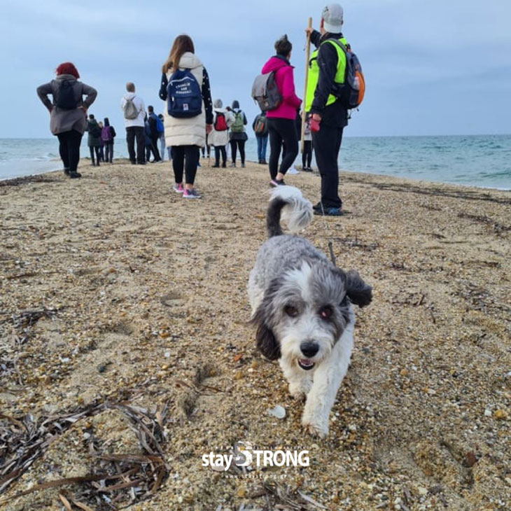 Πεζοπορία στον Υδροβιότοπο Επανομής & Επίσκεψη στο Κτήμα Γεροβασιλείου