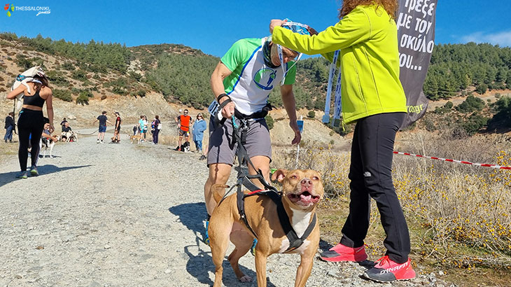 CaniCross Greece: Τρέξε με τον Σκύλο
