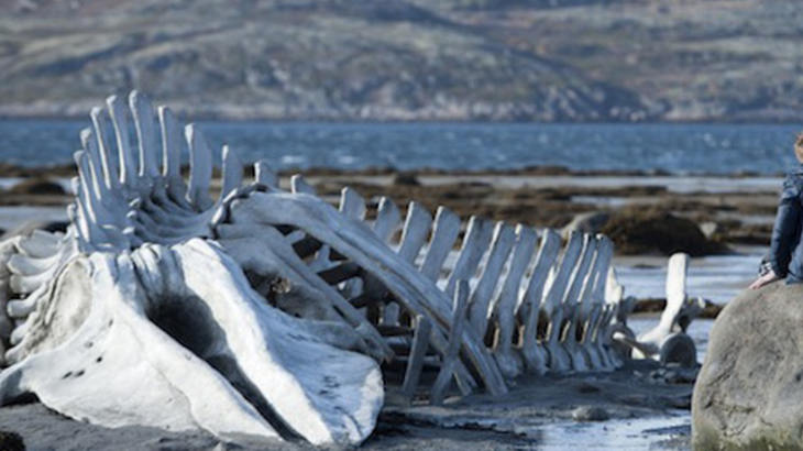 Προβολές Ταινιών από την Κινηματογραφική Λέσχη: Η Πόλη Αλλιώς